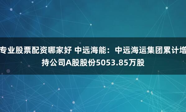 专业股票配资哪家好 中远海能：中远海运集团累计增持公司A股股份5053.85万股