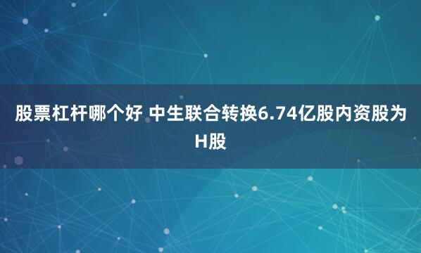 股票杠杆哪个好 中生联合转换6.74亿股内资股为H股