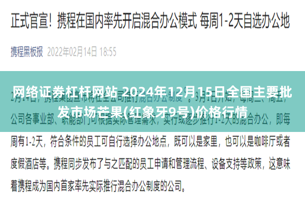 网络证券杠杆网站 2024年12月15日全国主要批发市场芒果(红象牙9号)价格行情